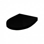 Крышка-сиденье Roca Victoria Nord Black Edition ZRU9302627 с микролифтом, петли хром , изображение 3