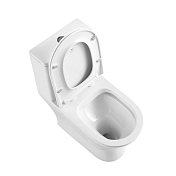 Унитаз-моноблок BelBagno Lounge BB8618CPR-MN/SC , изображение 2