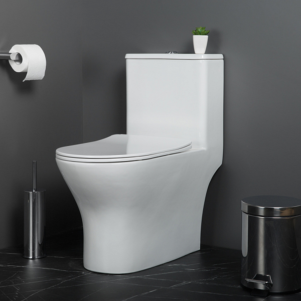Унитаз-моноблок BelBagno Lounge BB8618CPR-MN/SC , изображение 8